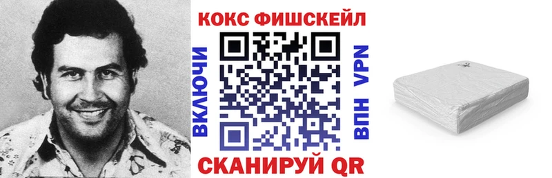 Что такое Светлогорск ГАШИШ  Alpha PVP  COCAIN  Мефедрон  MDMA  МАРИХУАНА  НБОМе  АМФ 