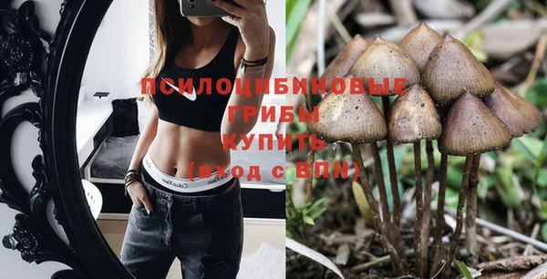 дурь Белокуриха