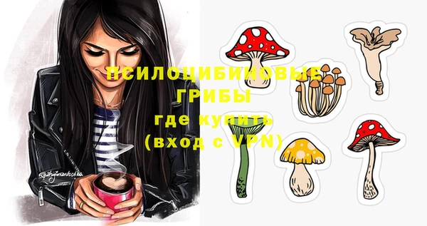 дурь Белокуриха