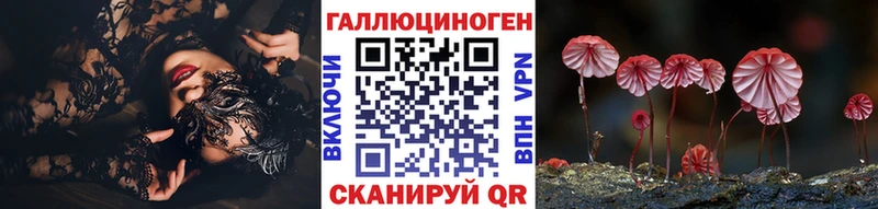 shop Telegram хочу наркоту Светлогорск Галлюциногенные грибы Psilocybe