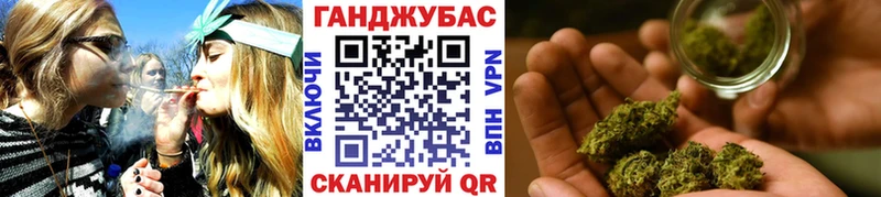 закладка  Светлогорск  Конопля Ganja 